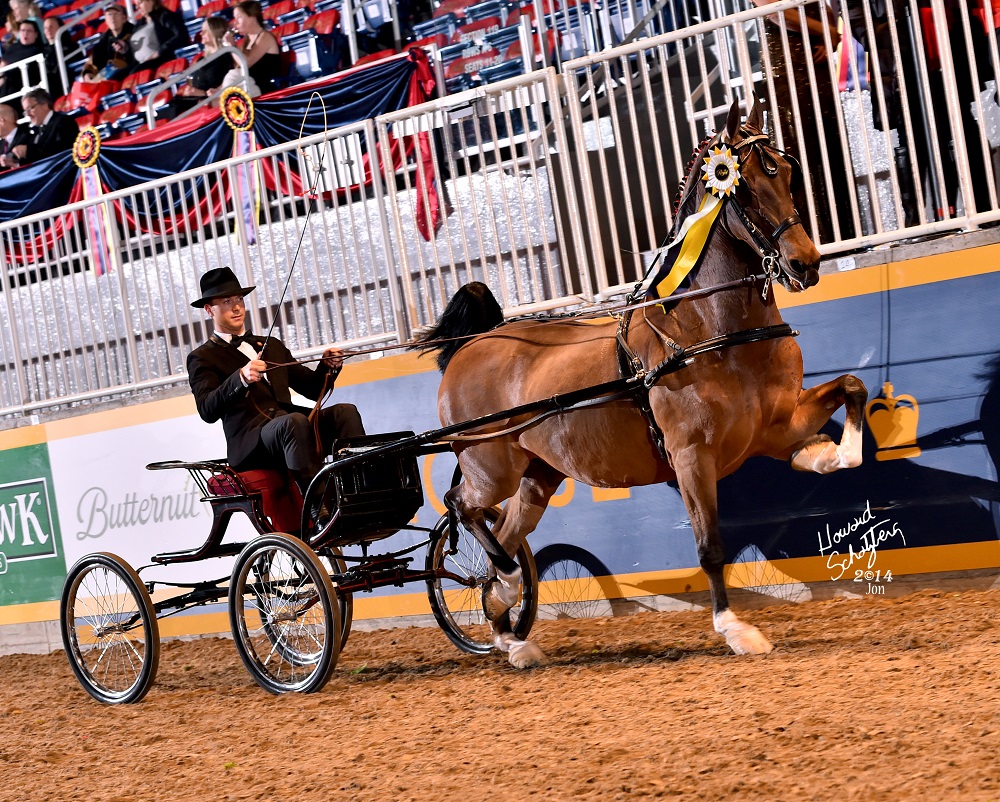 The Canadian Hackney Society